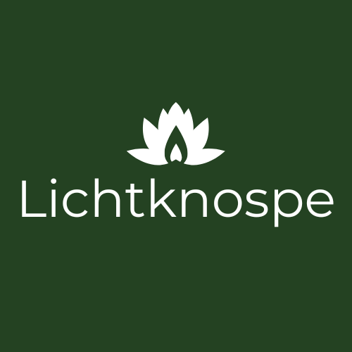 Lichtknospe
